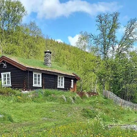 Gamle Reiremo - Husmannsplass Feriehus Sel