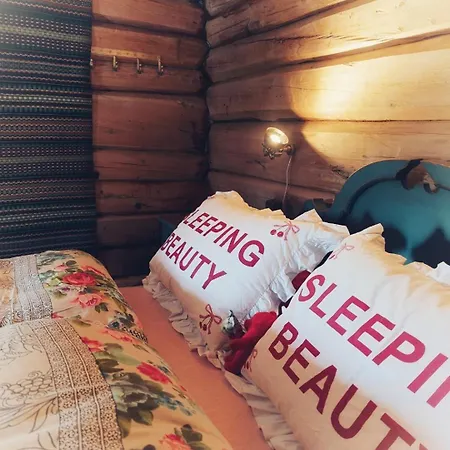 Gamle Reiremo - Husmannsplass * Sel